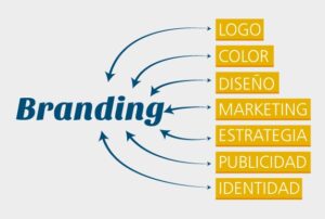 brand development